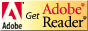 https://get.adobe.com/reader/otherversions/